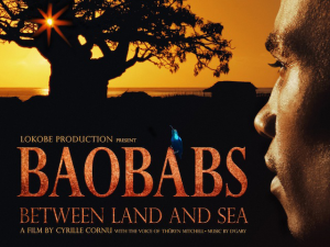 Baobabs Between Land and Sea