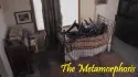 The Metamorphosis