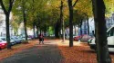 VON NATUR AUS FREUNDE / A Short Film by Kuesti Fraun