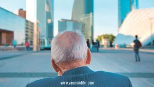 Vasenin