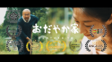 Official Awards Presented – 2016 International Peace & Film Festival