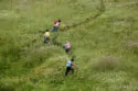 Track, Short Film by Reza Golchin