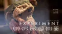 IPFF 2018 Official Selection: Experiment