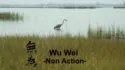 Wu Wei Non Action