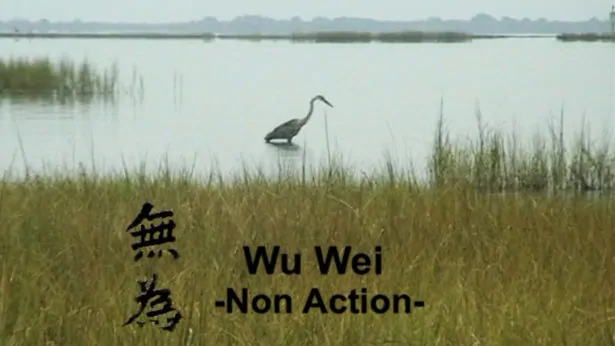 Wu Wei Non Action