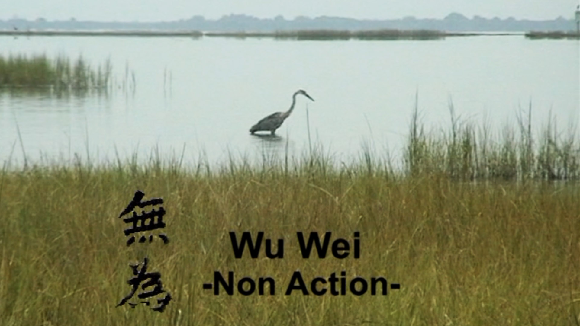 Official Selection: Wu Wei (Non Action) - International Peace and